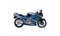 Beste 1998-2003 Kawasaki ZZR600 Verkleidung