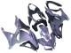 Beste Kawasaki Ninja 500 EX500R Motorrad Verkleidung 2024-2026 - Chameleon Grau Dazz Perl Lila