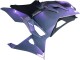 Beste Kawasaki Ninja 500 EX500R Motorrad Verkleidung 2024-2026 - Chameleon Grau Dazz Perl Lila