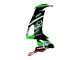 Beste Kawasaki ZX10R Motorrad Verkleidung 2008-2010 - Grun Weiss Rot Schwarz Monster Elf 66