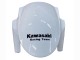 Beste Kawasaki ZX10R Motorrad Verkleidung 2011-2015 - Weiss Grun Streifen Schwarz Ninja