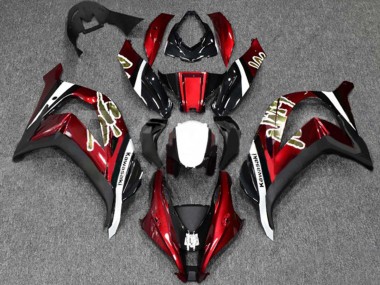 Beste Kawasaki ZX10R Motorrad Verkleidung 2016-2020 - Rot Glanzendes Schwarz Weiss