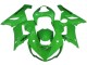 Beste Kawasaki ZX6R Motorrad Verkleidung 2005-2006 - Grun