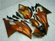Beste R6 2008-2016 Verkleidungen - Orange Beste R6 2008-2016 Verkleidungen - Orange